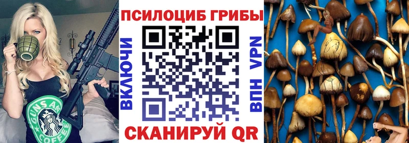 Купить где  Серов  Галлюциногенные грибы GOLDEN TEACHER 