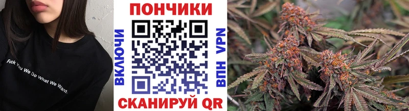 Каннабис сатива  Купить где  Серов 